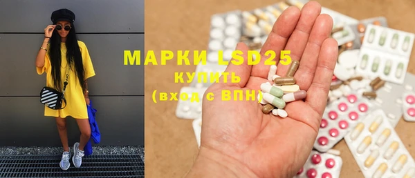 винт Аркадак