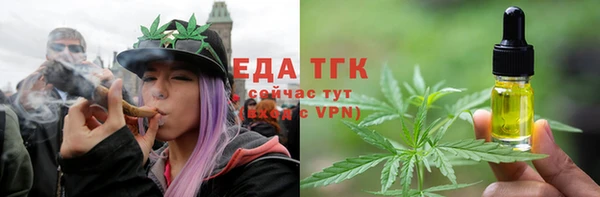 индика Медногорск