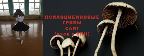 ешки Алексеевка