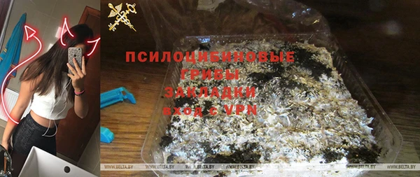 винт Аркадак